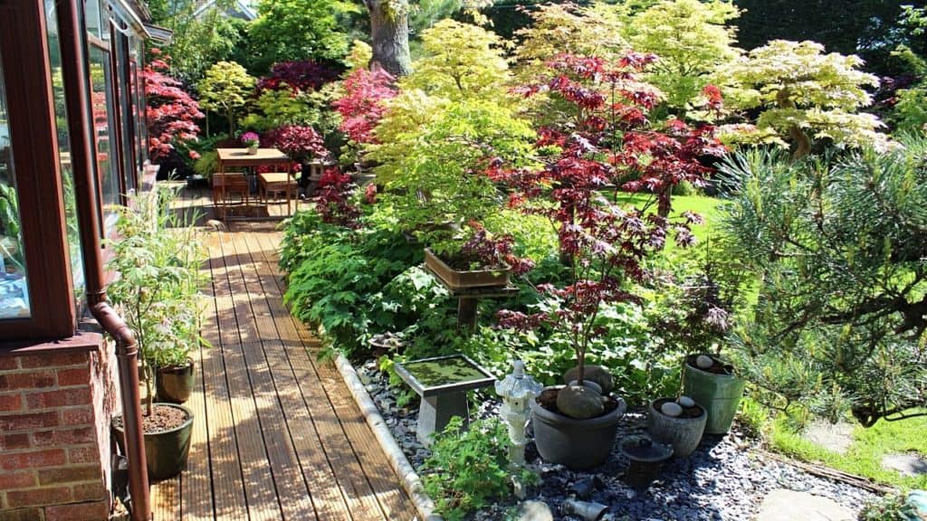 30 Plants for South-facing Gardens