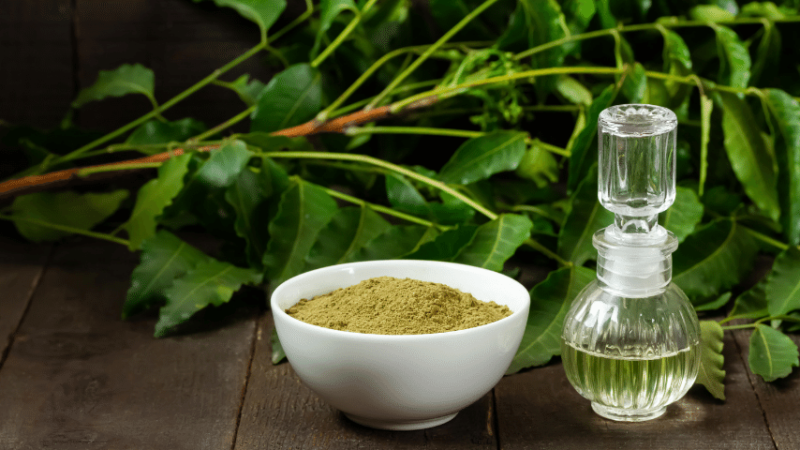 Neem oil is an insecticide that contains only natural ingredients