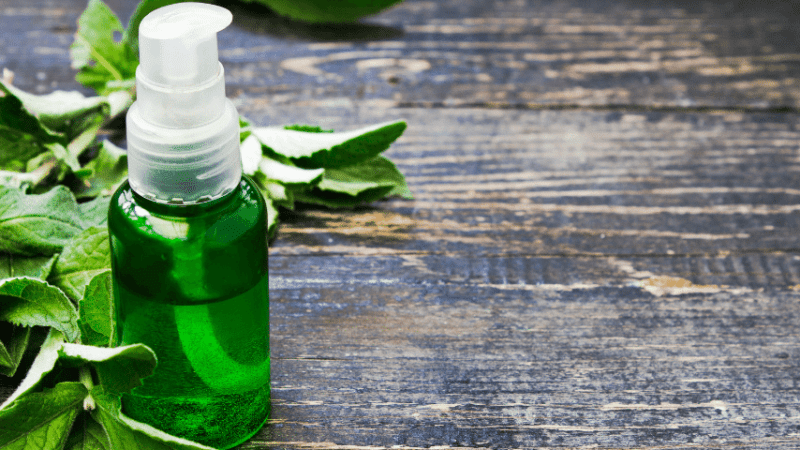 Smell of peppermint oil is appealing to humans, but it's hated by squirrels